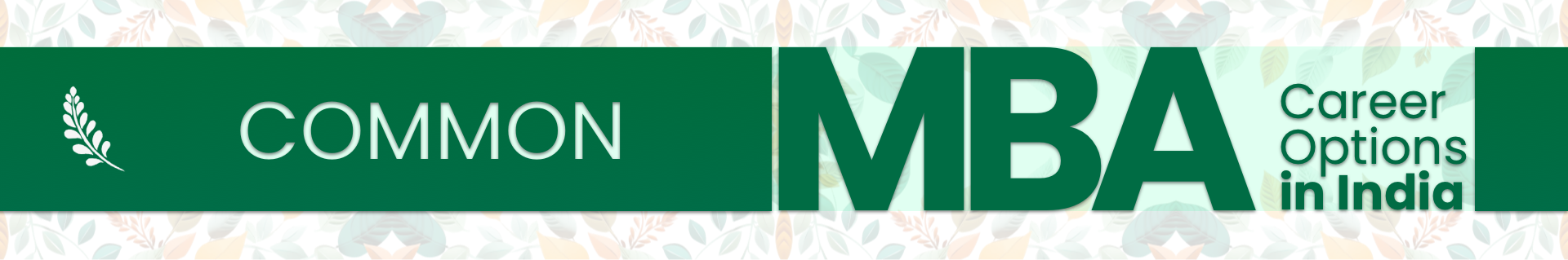 Common MBA Career Options in India
